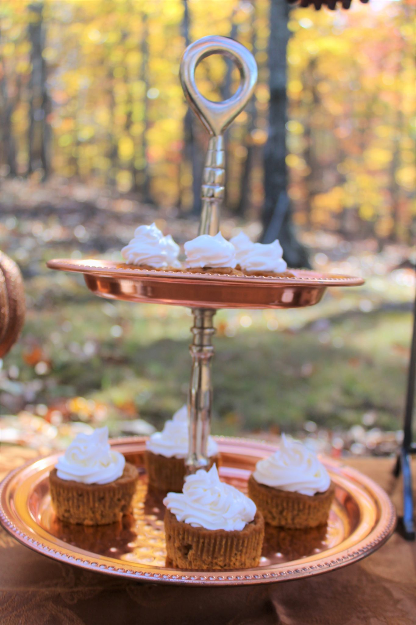 Beautiful Thanksgiving Dessert Table! | Cupcakes and Paper Lanterns